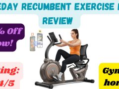 Niceday Recumbent Exercise Bike Review